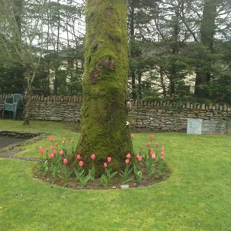 Arthur's Wood Kenmare